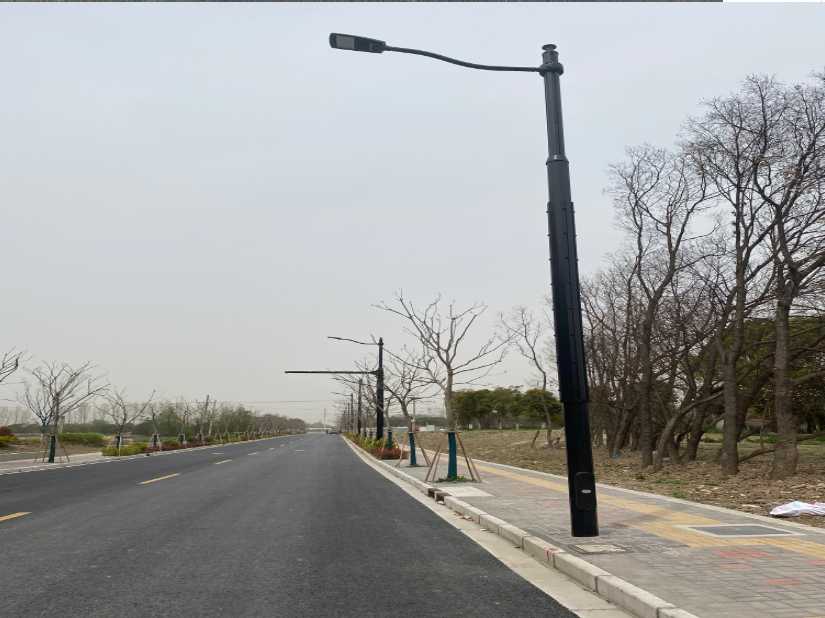 南充市上海综合杆 太阳能路灯工程